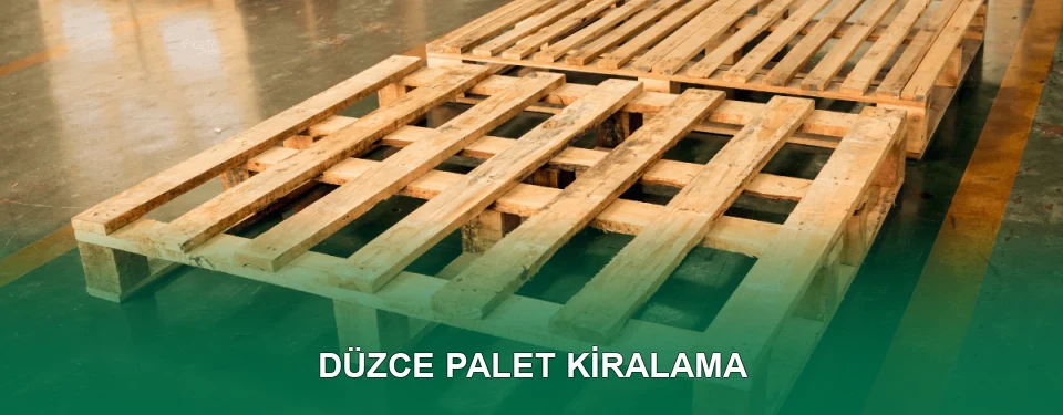 Düzce Palet Kiralama Hizmeti